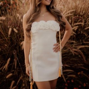 Meshki Brooks Rose Dress